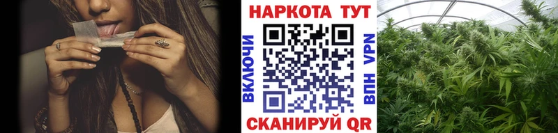 Цена Обоянь Конопля Cocaine МЕТАДОН OMG Alpha PVP МЕФ