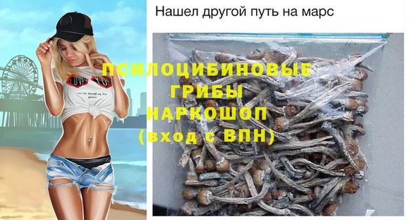 хмурый Алзамай