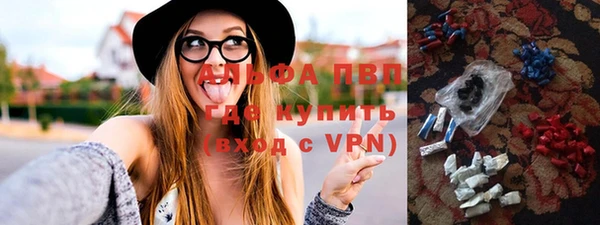 хмурый Алзамай