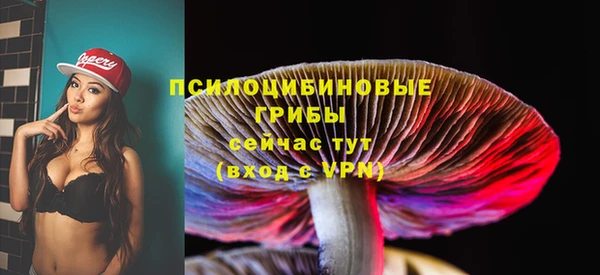 крисы Алексеевка